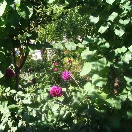 Διαμέρισμα Romeo